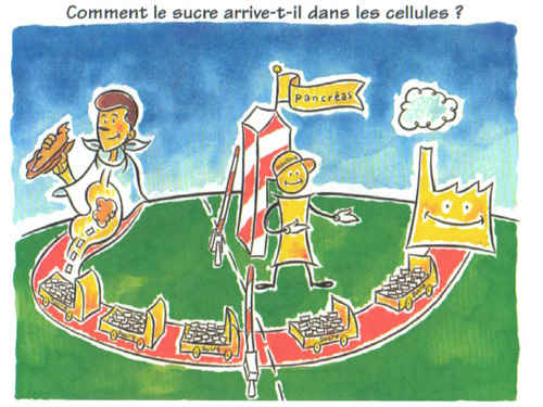 diabete 95, diabete type 1, diabete type 2